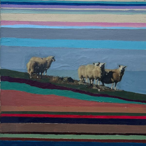 "Får på fjeldet II" Akryl & foto 25 x 25