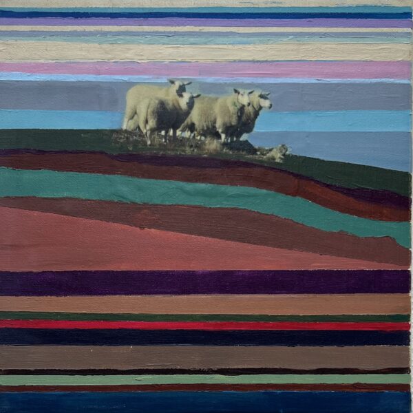 "Får på beite I" akryl & foto 25 x 25